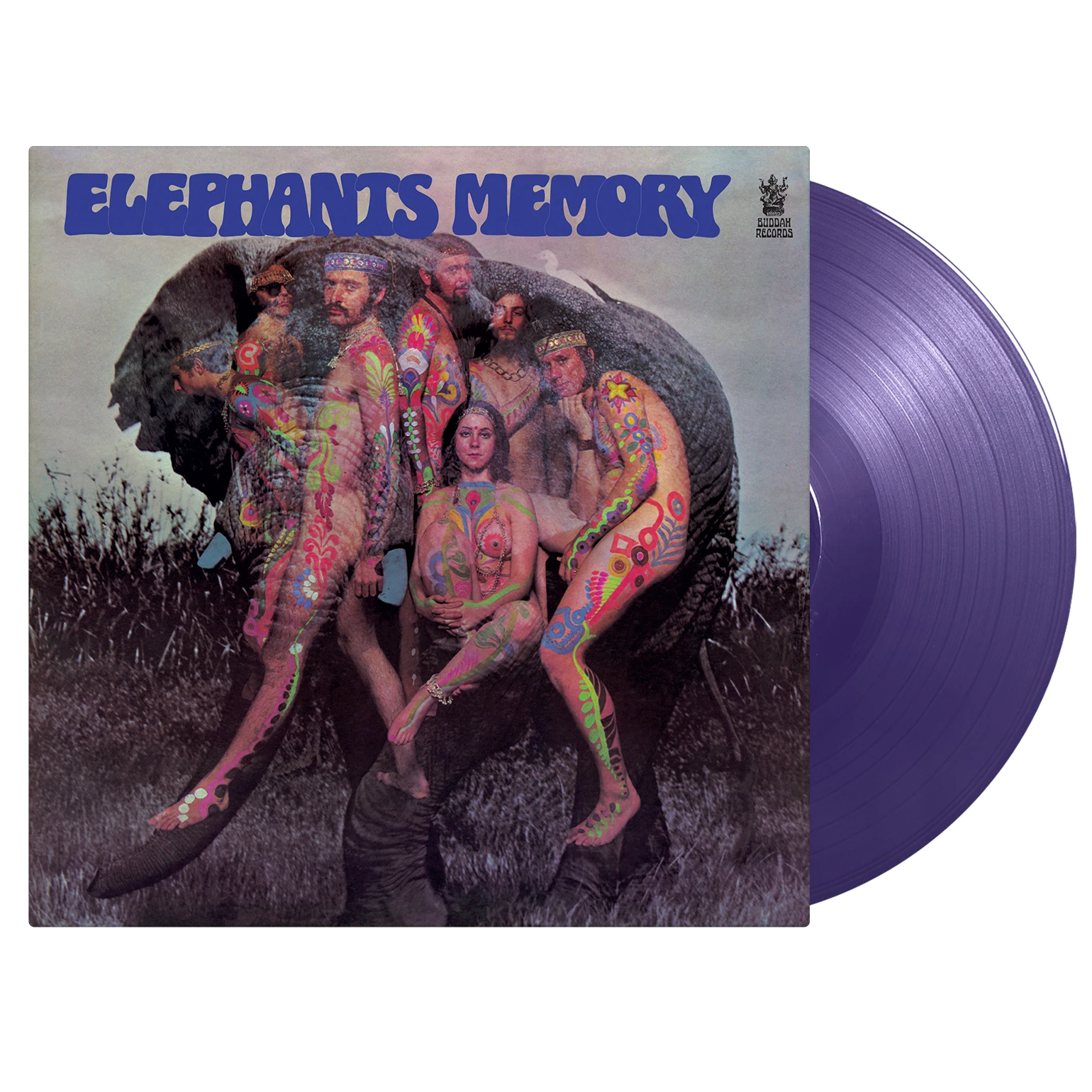 Elephant's Memory